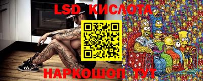 крисы Аргун