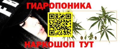 крисы Аргун
