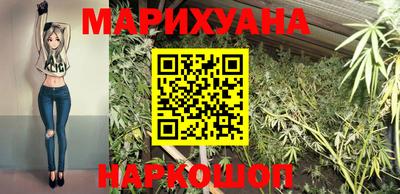 крисы Аргун